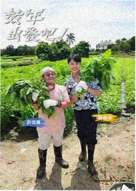 声音的战场 音乐综艺在线观看